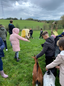 Image2_upscayl_2x_realesrgan-x4plus